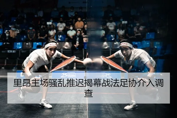 里昂主场骚乱推迟揭幕战法足协介入调查